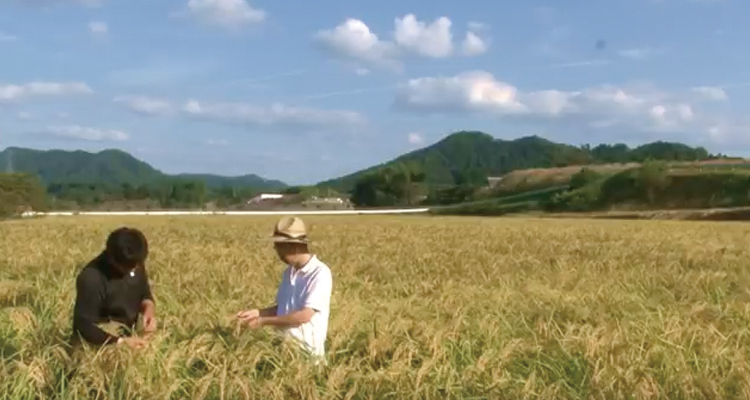 Tamba Nishiyama Farm